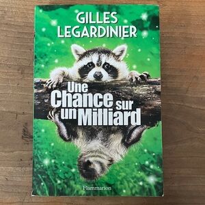 Gilles Legardinier : une chance sur un milliard - paperback Book
